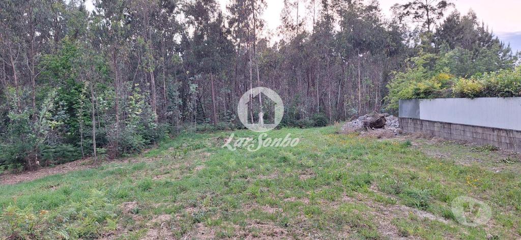 Terrenos Barcelos - Fotos para Barcelos-Terreno em Barcelos (265-T-01497)