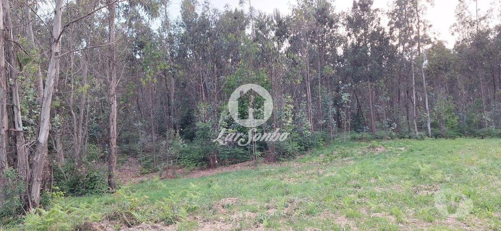 Terrenos Barcelos - Fotos para Barcelos-Terreno em Barcelos (265-T-01497)