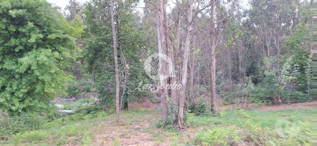 Terrenos Barcelos - Fotos para Barcelos-Terreno em Barcelos (265-T-01497)