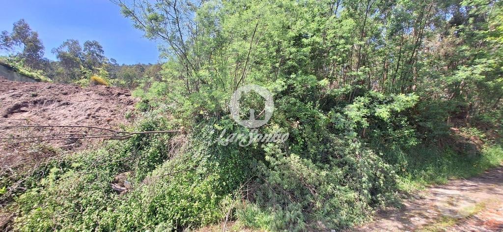 Terrenos Barcelos - Fotos para Barcelos-Terreno em Barcelos (265-T-01497)