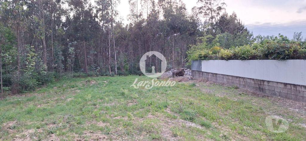 Terrenos Barcelos - Fotos para Barcelos-Terreno em Barcelos (265-T-01497)