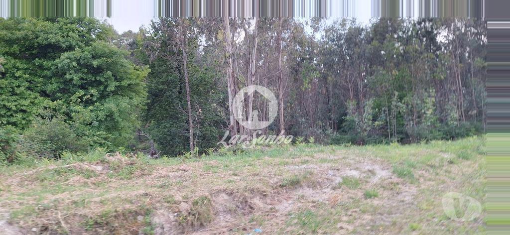 Terrenos Barcelos - Fotos para Barcelos-Terreno em Barcelos (265-T-01497)