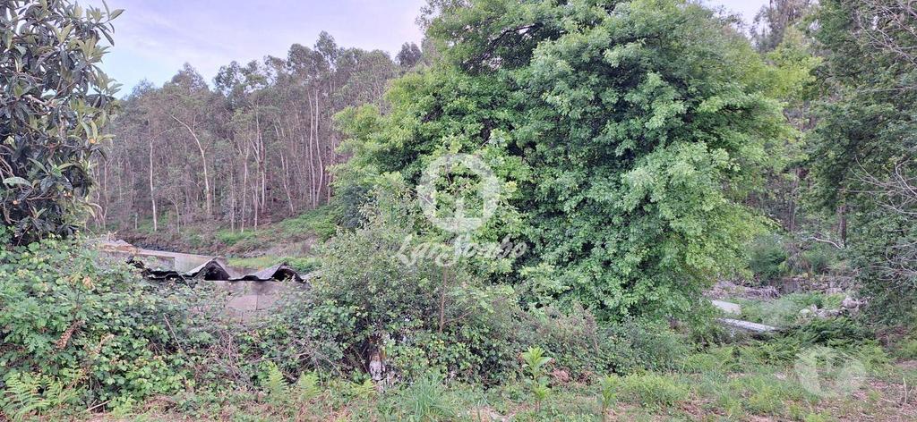 Terrenos Barcelos - Fotos para Barcelos-Terreno em Barcelos (265-T-01497)