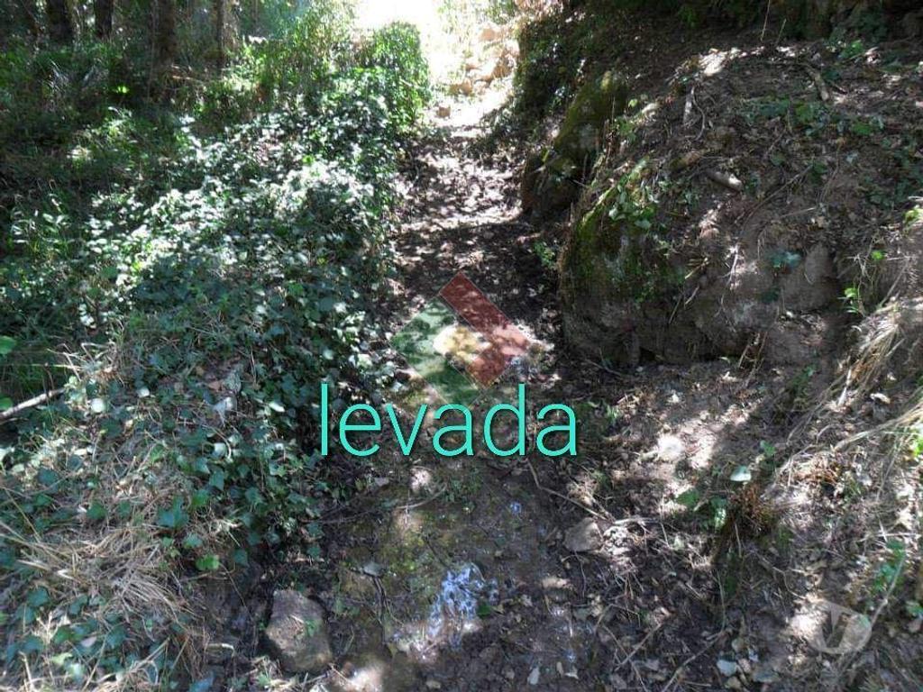 Terrenos Marvão - Fotos para Quinta, para venda, Marvão - Santa Maria de Marvão (MG.11217)