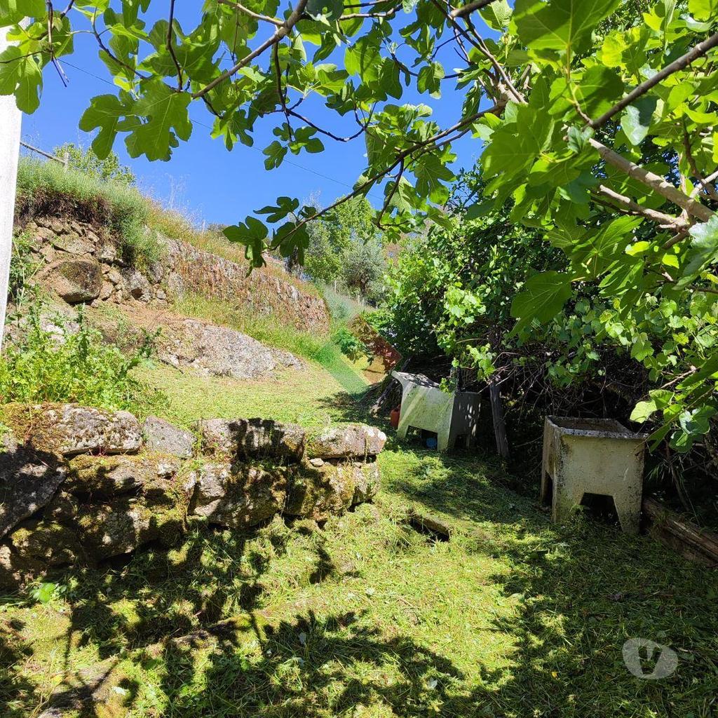 Terrenos Marvão - Fotos para Quinta, para venda, Marvão - Santa Maria de Marvão (MG.11217)