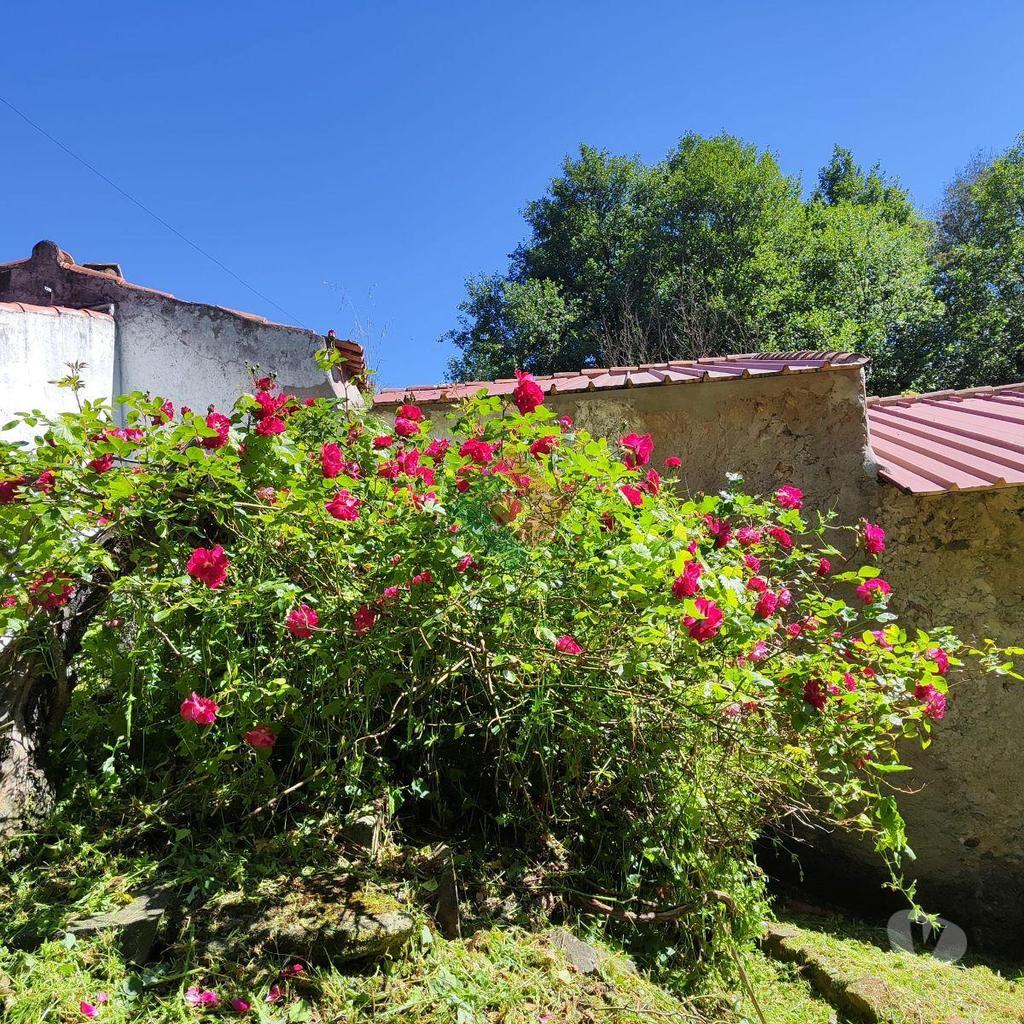 Terrenos Marvão - Fotos para Quinta, para venda, Marvão - Santa Maria de Marvão (MG.11217)