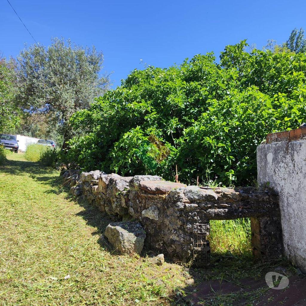 Terrenos Marvão - Fotos para Quinta, para venda, Marvão - Santa Maria de Marvão (MG.11217)