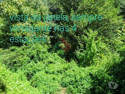 Terrenos e Quintas - Fotos para Quinta, para venda, Marvão - Santa Maria de Marvão (MG.11217)