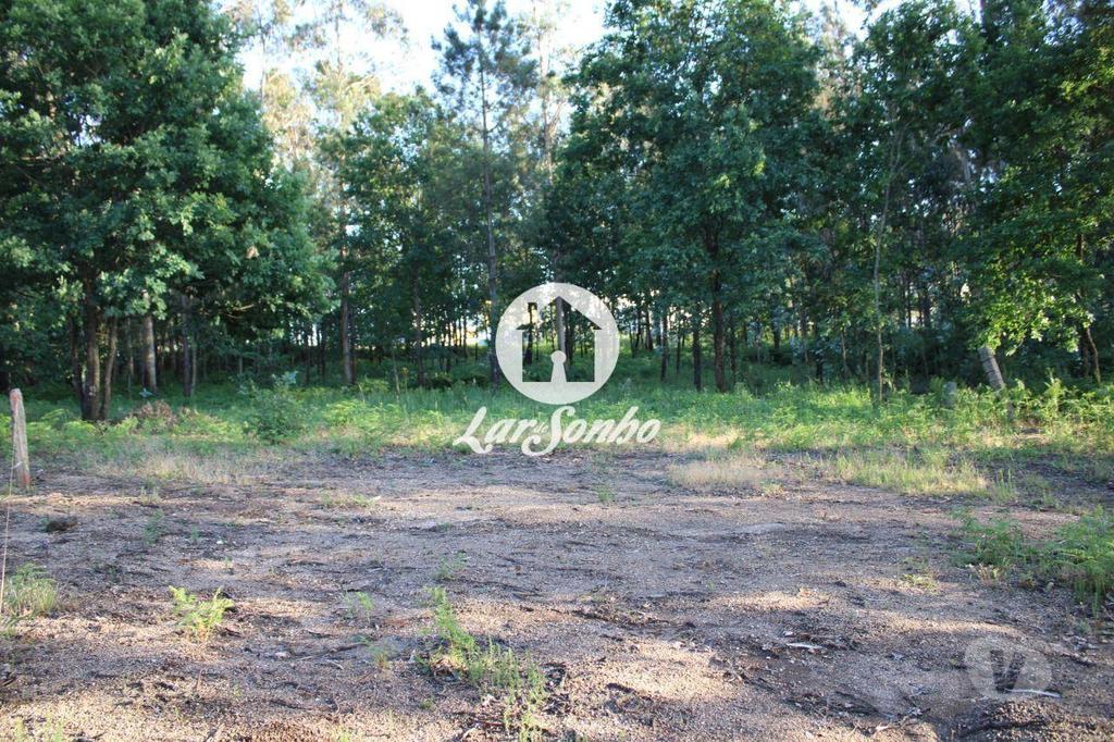 Terrenos Barcelos - Fotos para Barcelos-Terreno para construção (265-T-00936)