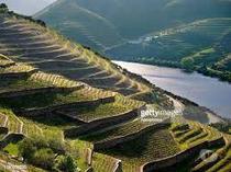 Terreno C Projeto Aprovado para Hotel no Douro Próximo futura
