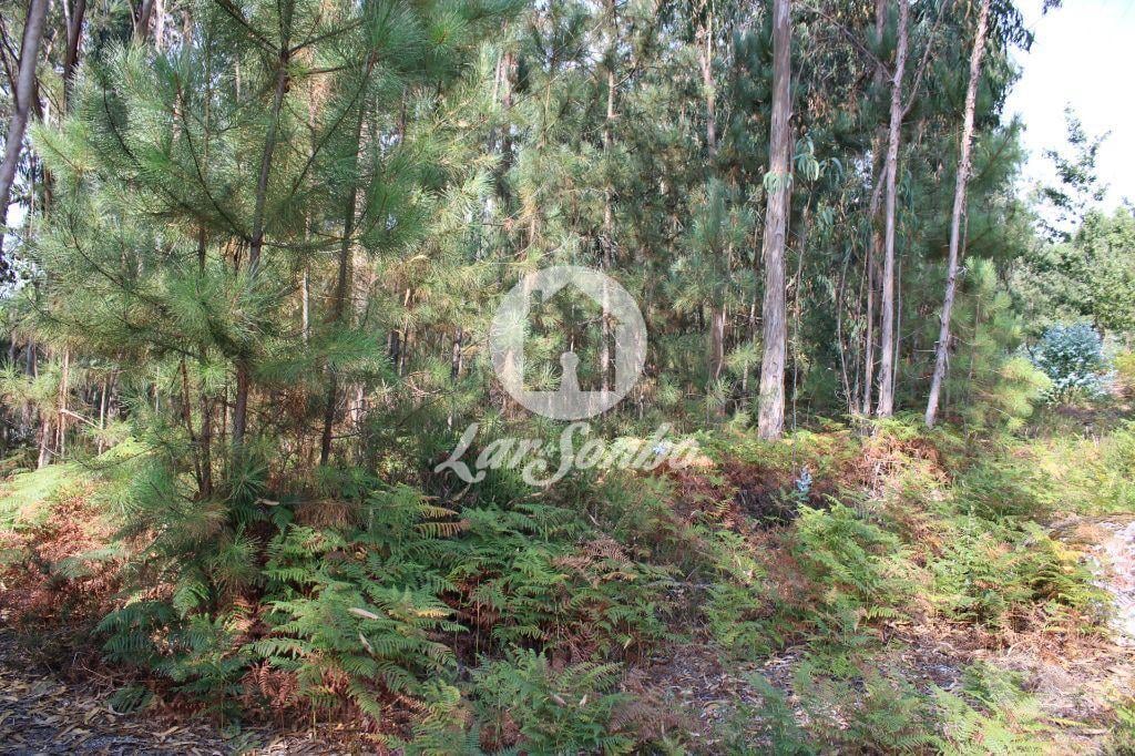 Terrenos Barcelos - Fotos para Barcelos-Bouça com 40 000 m2, em Barcelos (265-T-00335)