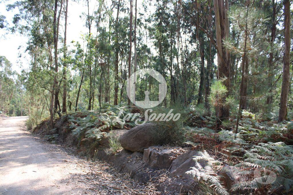Terrenos Barcelos - Fotos para Barcelos-Bouça com 40 000 m2, em Barcelos (265-T-00335)