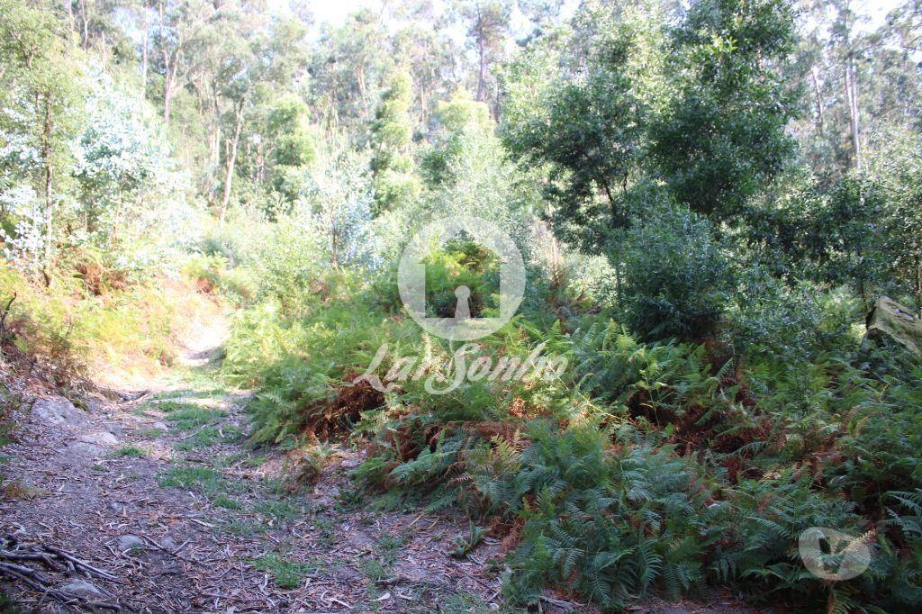 Terrenos Barcelos - Fotos para Barcelos-Bouça com 40 000 m2, em Barcelos (265-T-00335)