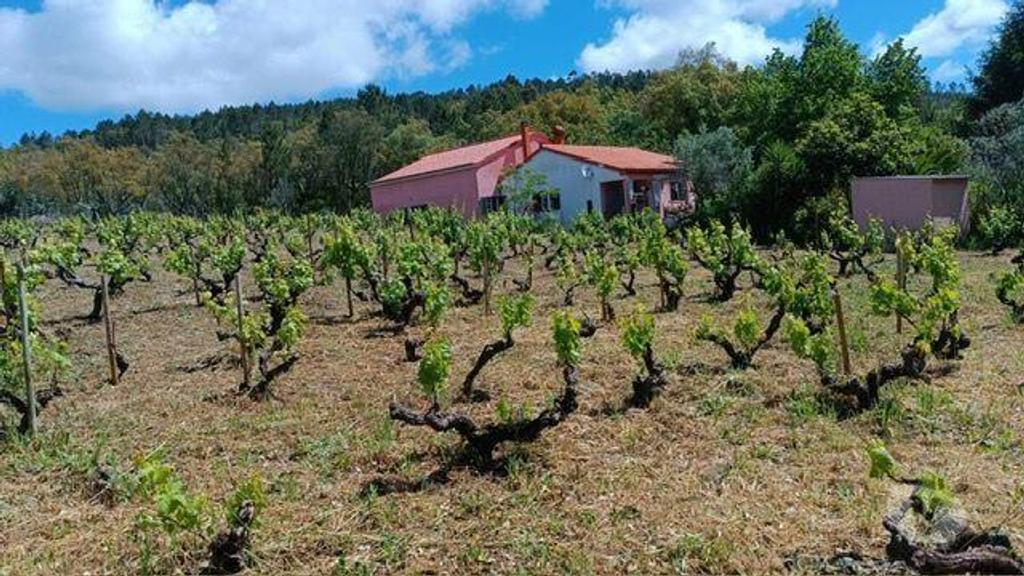 Terrenos Portalegre - Fotos para QUINTA COM UMA ÁREA DE 6.625 hectares EM PORTALEGRE (262)