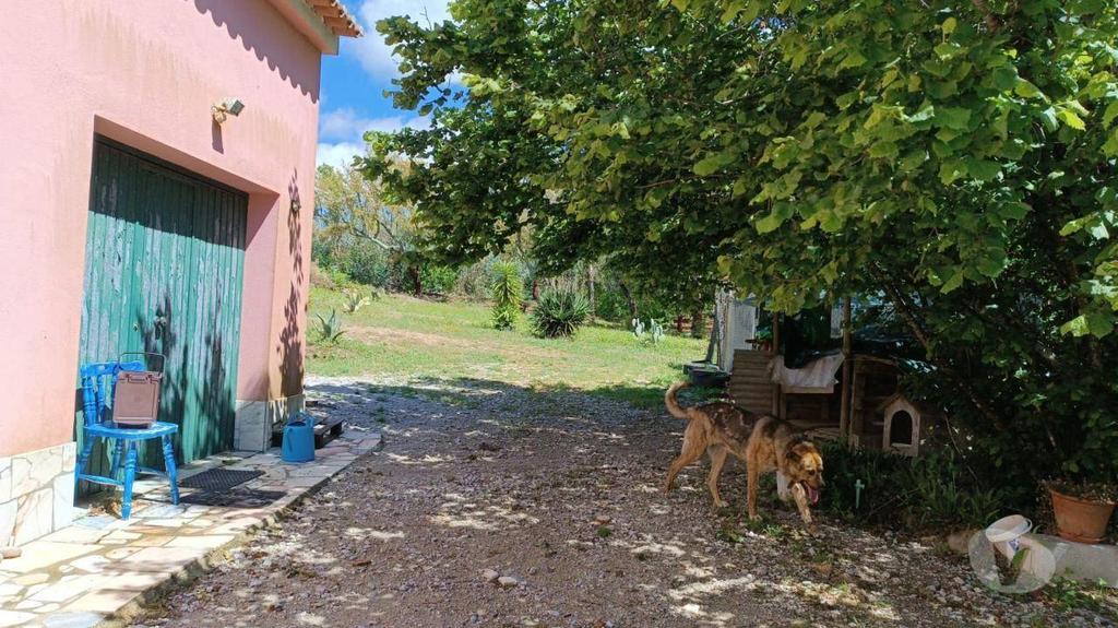 Terrenos Portalegre - Fotos para QUINTA COM UMA ÁREA DE 6.625 hectares EM PORTALEGRE (262)
