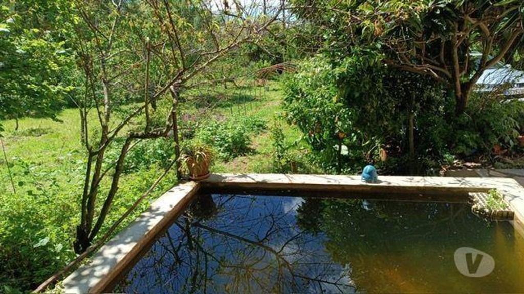 Terrenos Portalegre - Fotos para QUINTA COM UMA ÁREA DE 6.625 hectares EM PORTALEGRE (262)