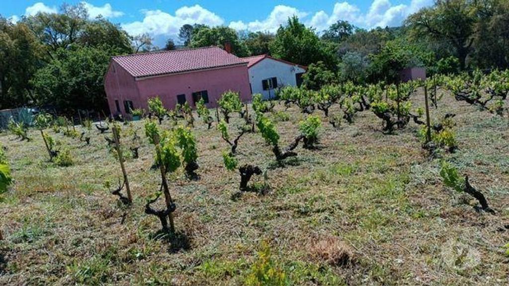 Terrenos Portalegre - Fotos para QUINTA COM UMA ÁREA DE 6.625 hectares EM PORTALEGRE (262)