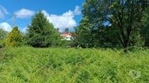 QUINTA COM UMA ÁREA DE 6.625 hectares EM PORTALEGRE (262)