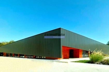 Terrenos e Quintas - Fotos para Terreno Industrial 17.000m2. Portugal, Cacia, Aveiro (8899_T)