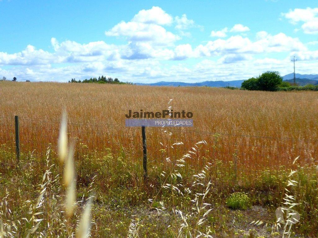 Terrenos Belmonte - Fotos para Propriedade 80,1ha de Cultivo Agrícola. Portugal, Belmonte,