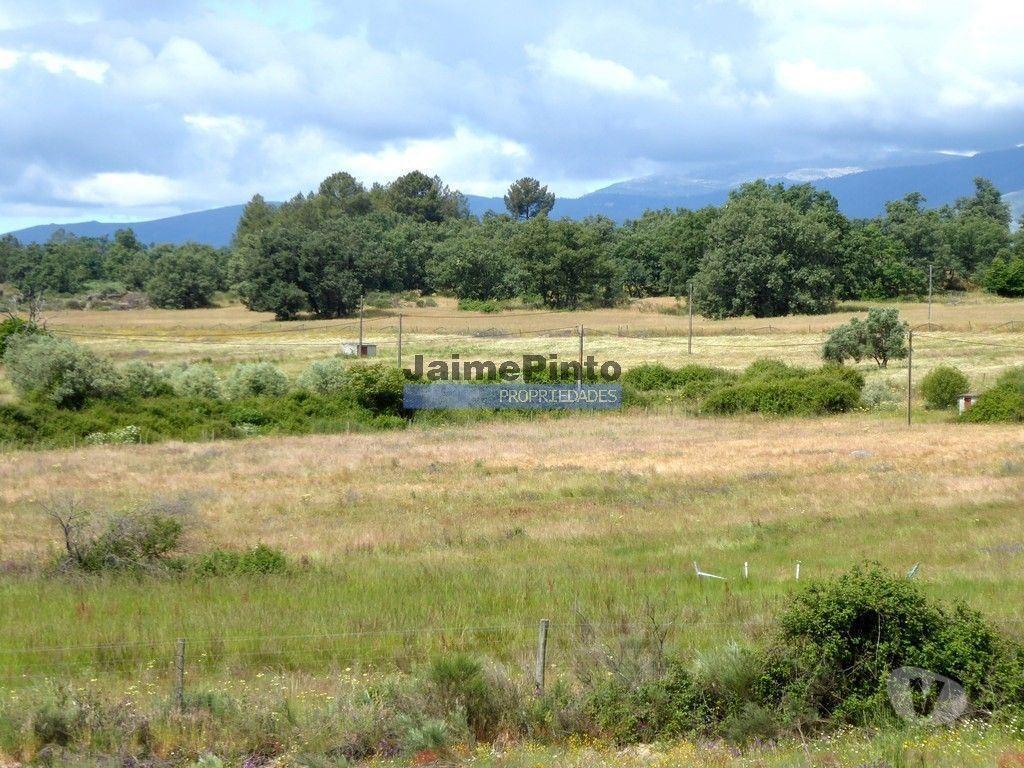 Terrenos Belmonte - Fotos para Propriedade 80,1ha de Cultivo Agrícola. Portugal, Belmonte,