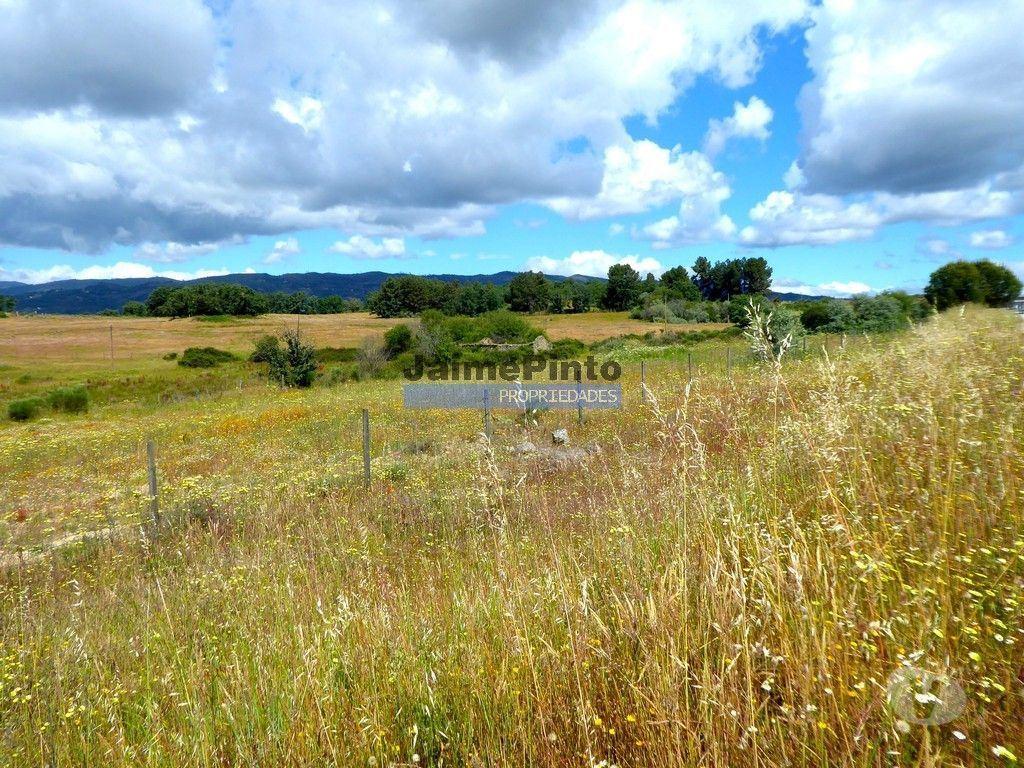 Terrenos Belmonte - Fotos para Propriedade 80,1ha de Cultivo Agrícola. Portugal, Belmonte,