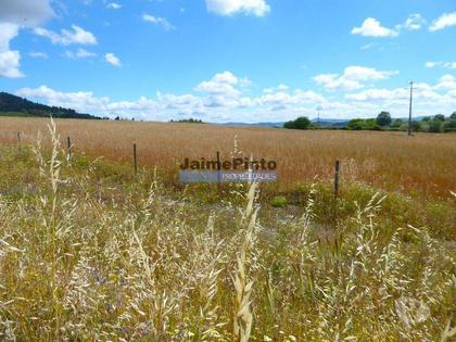 Terrenos e Quintas - Fotos para Propriedade 80,1ha de Cultivo Agrícola. Portugal, Belmonte,