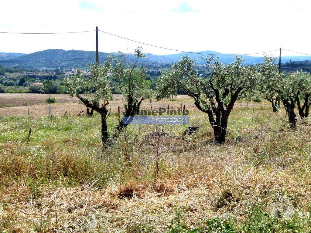 Apartamentos a venda Belmonte - Fotos para 3ha Terreno Agrícola, com 2 Casas habitáveis. Portugal,