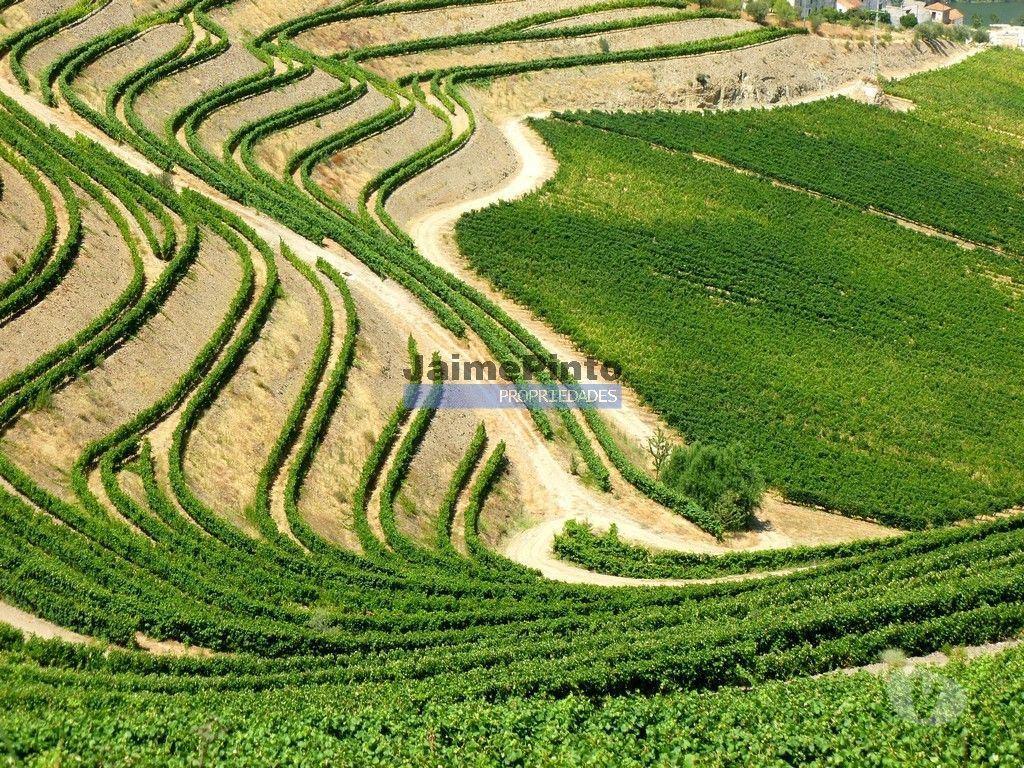 Apartamentos a venda Peso da Régua - Fotos para Moradia estilo antigo, V4, vista rio Douro. Portugal, Peso da