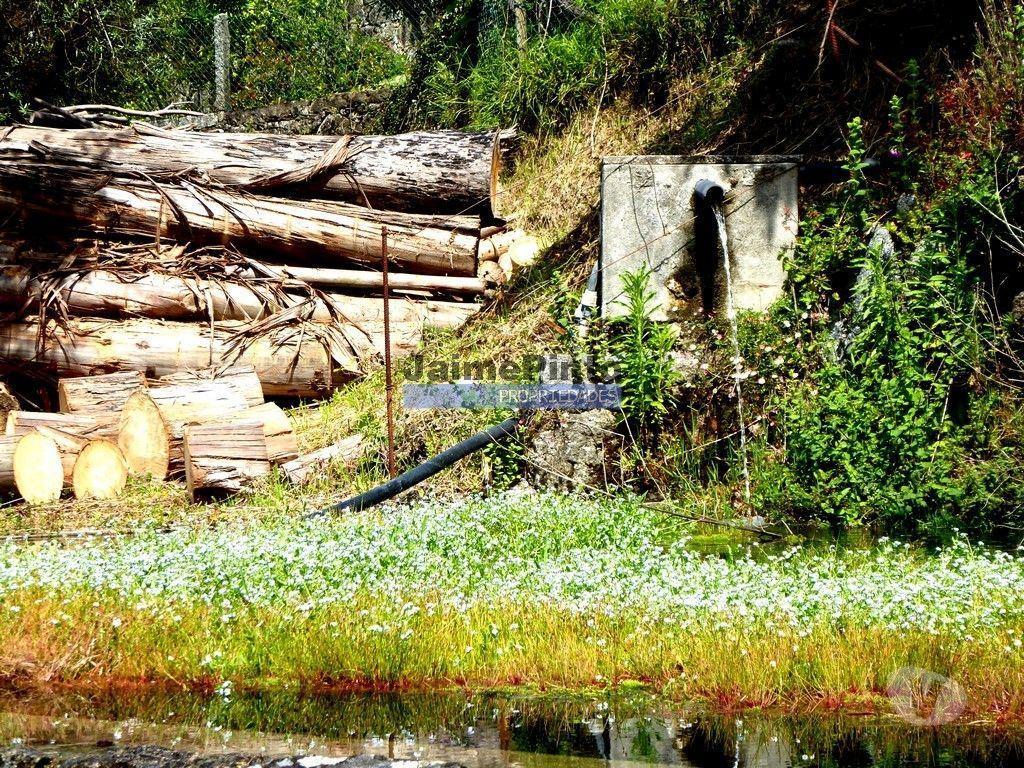 Terrenos Ponte de Lima - Fotos para Terreno urbano p construção de MORADIA de cave e r chão. Ponte