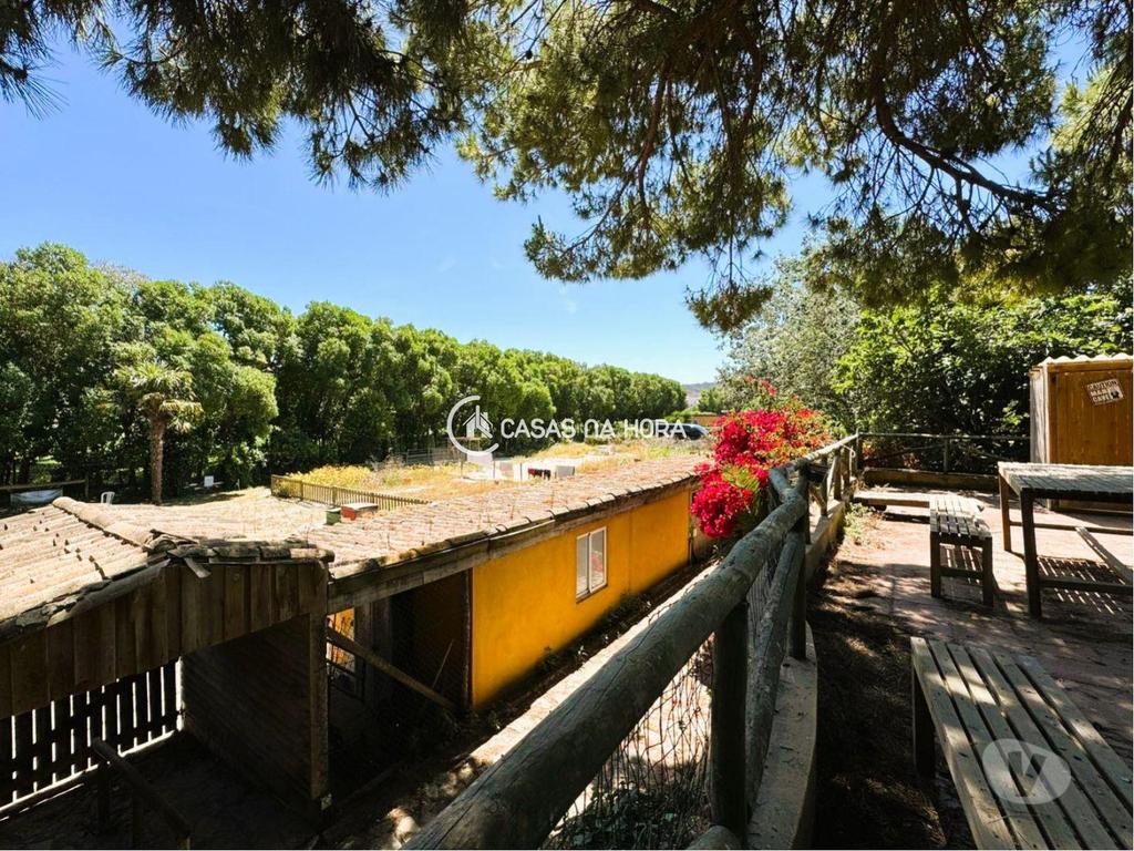 Terrenos Óbidos - Fotos para Quinta, para venda, Óbidos - Olho Marinho (crainha Q 00029)