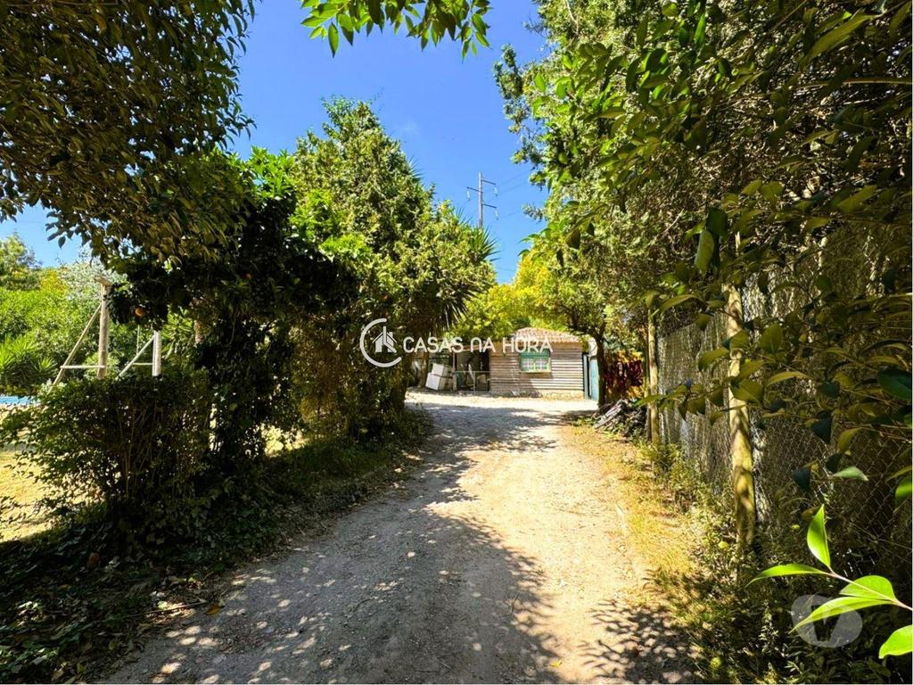 Terrenos Óbidos - Fotos para Quinta, para venda, Óbidos - Olho Marinho (crainha Q 00029)