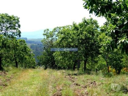 Terrenos - Fotos para 4ha com Castanheiros, em Trás-os-Montes. Portugal, Vila Real,