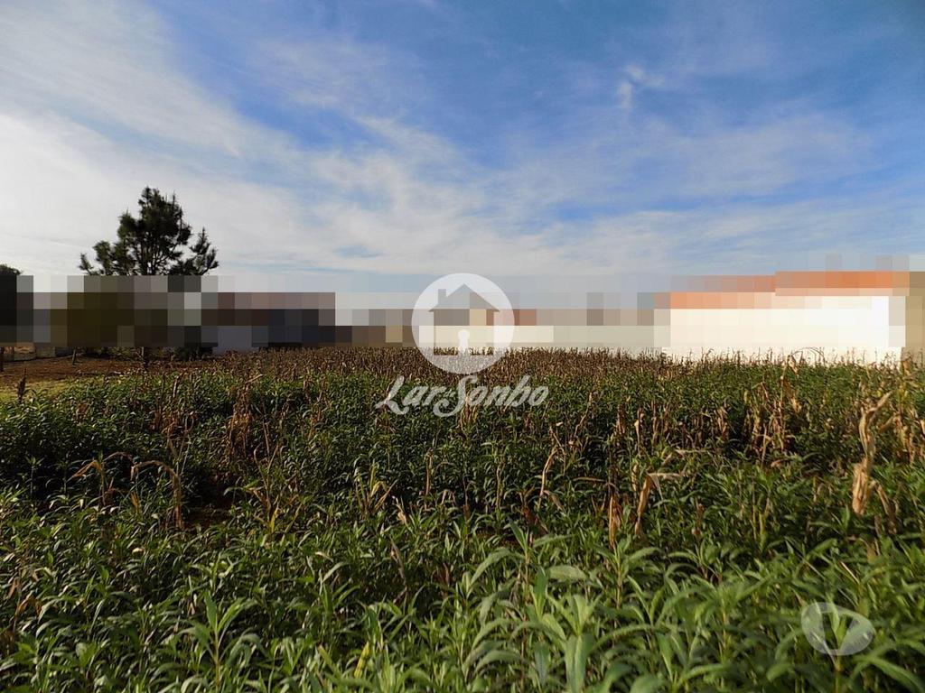 Terrenos Vila do Conde - Fotos para Terreno para Construção de Moradias ou Apartamentos em
