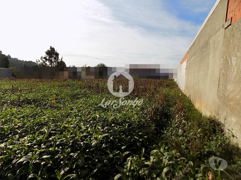 Terrenos Vila do Conde - Fotos para Terreno para Construção de Moradias ou Apartamentos em