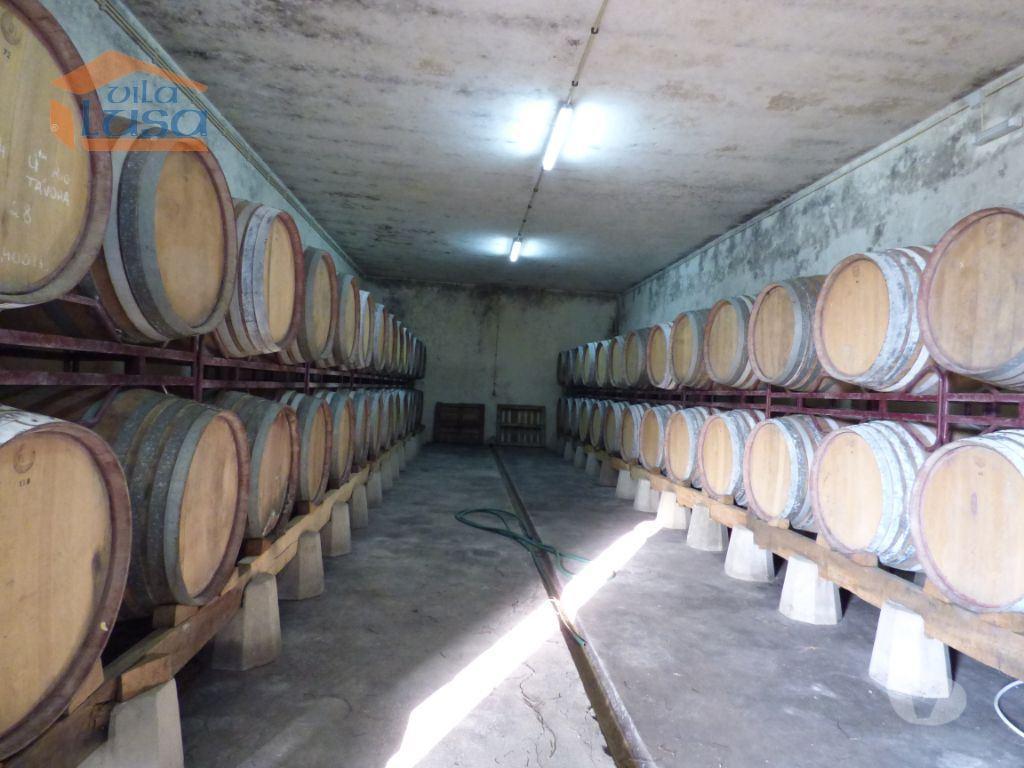 Terrenos Tabuaço - Fotos para Tabuaco-Quinta no Douro de excelente qualidade (803181005)