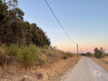 Comprar Loja - Fotos para Terreno rústico com 14ha.