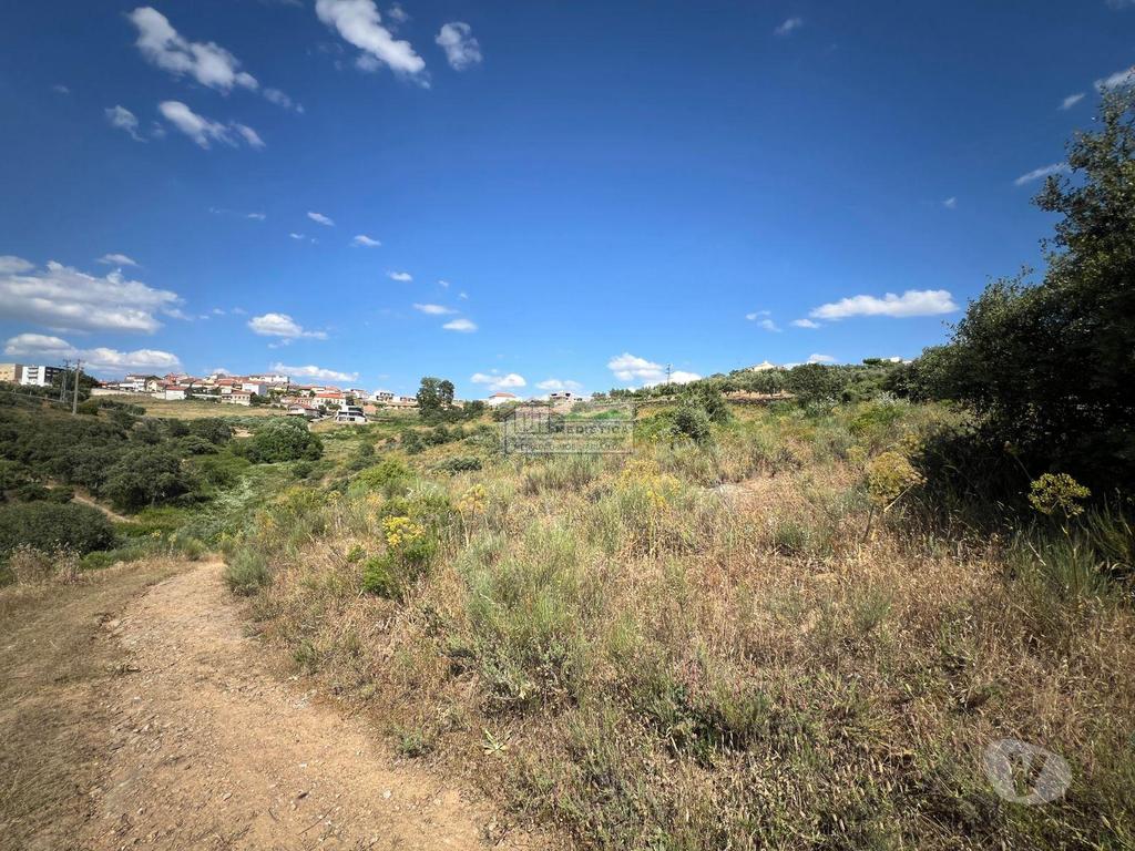 Terrenos Alfândega da Fé - Fotos para Lote para Moradia de 1 piso na vila de Alfandega da Fé (T 00423)
