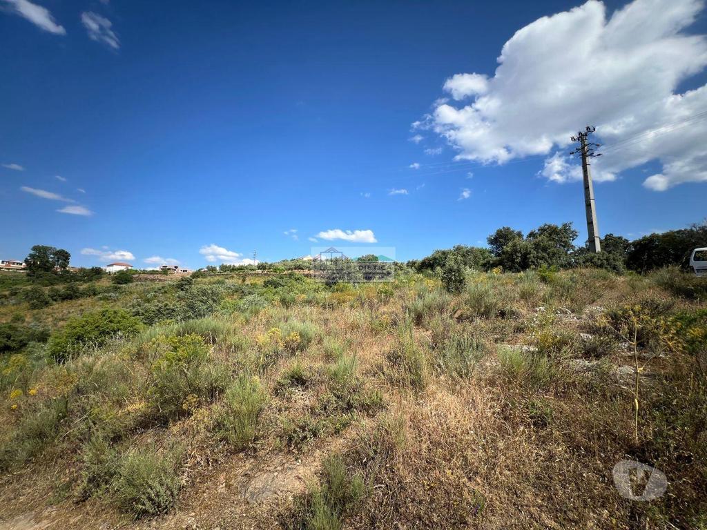 Terrenos Alfândega da Fé - Fotos para Lote para Moradia de 1 piso na vila de Alfandega da Fé (T 00423)