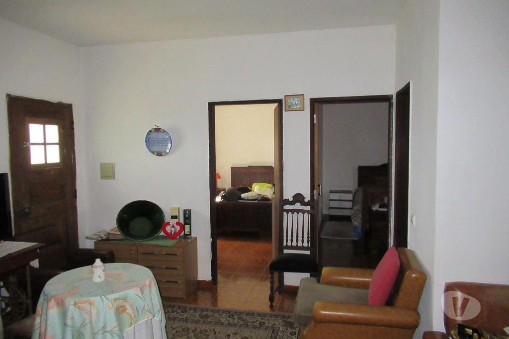 Terrenos Golegã - Fotos para Golega-QUINTINHA COM 1,3ha. V2. ÁGUA. POMAR. (2716)