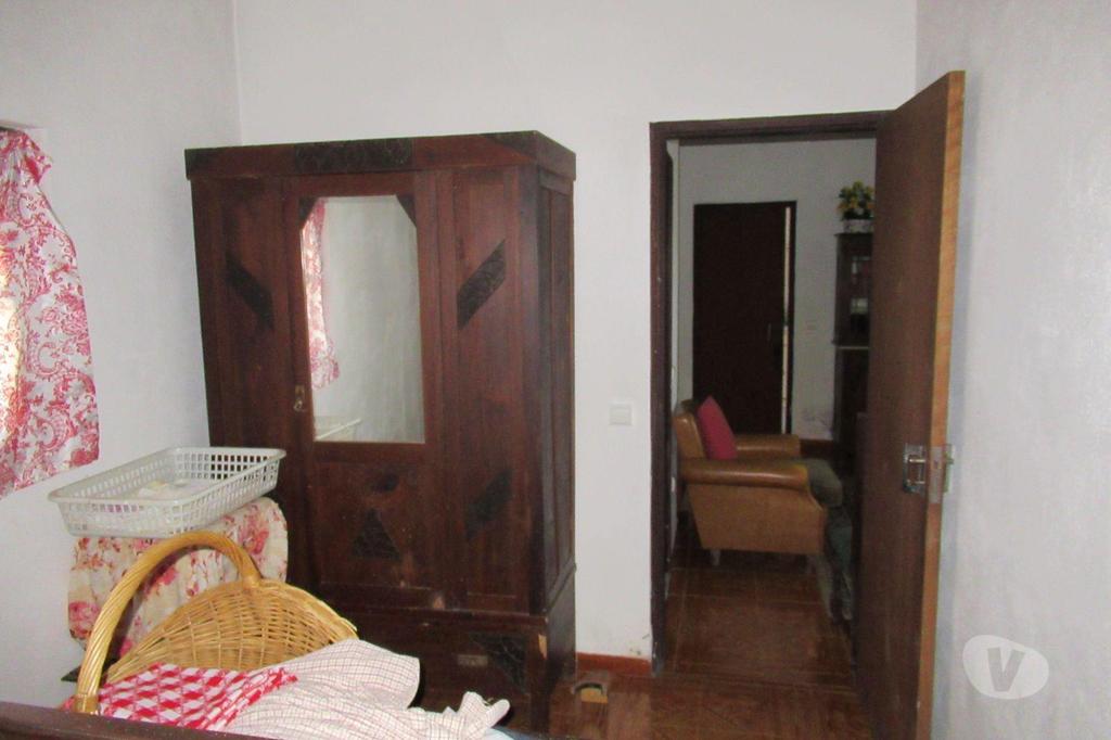 Terrenos Golegã - Fotos para Golega-QUINTINHA COM 1,3ha. V2. ÁGUA. POMAR. (2716)