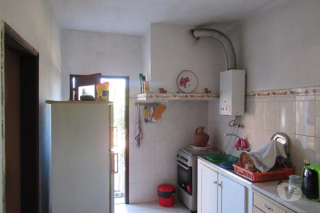 Terrenos Golegã - Fotos para Golega-QUINTINHA COM 1,3ha. V2. ÁGUA. POMAR. (2716)