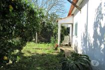 Fotos para Golega-QUINTINHA COM 1,3ha. V2. ÁGUA. POMAR. (2716)