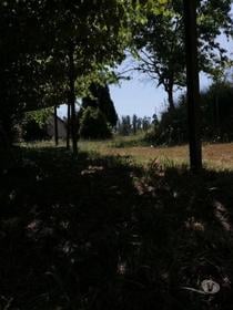 Quinta C Arvores de Fruto e Poço area 55 000m2-Sandim (SS0796)