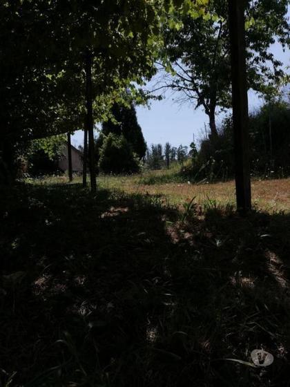 Terrenos a venda - Fotos para Quinta C Arvores de Fruto e Poço area 55 000m2-Sandim (SS0796)
