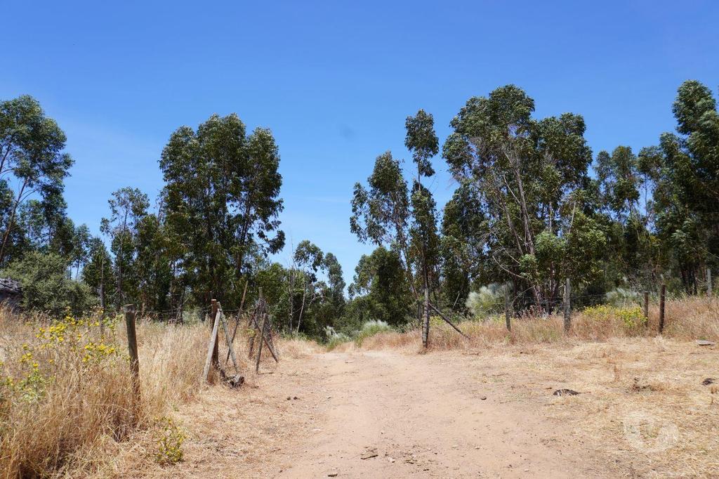 Terrenos Alandroal - Fotos para Terreno de 71 Hectares com Ruína e Viabilidade para Turismo
