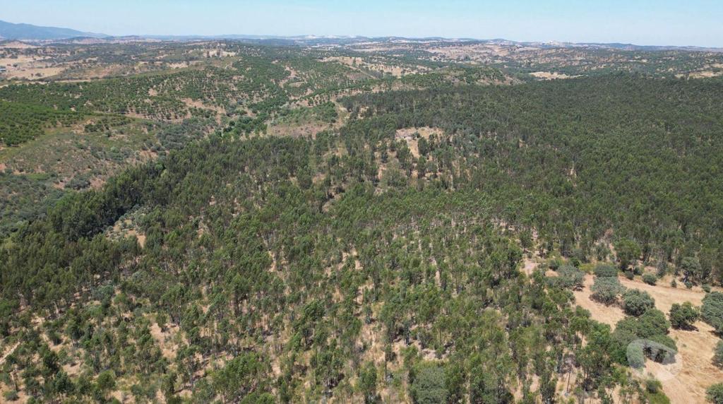 Terrenos Alandroal - Fotos para Terreno de 71 Hectares com Ruína e Viabilidade para Turismo
