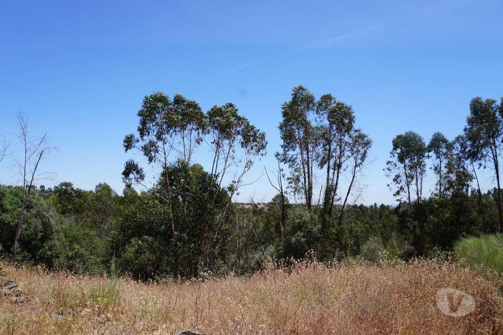 Terrenos Alandroal - Fotos para Terreno de 71 Hectares com Ruína e Viabilidade para Turismo