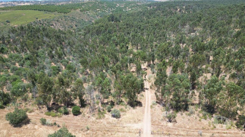 Terrenos Alandroal - Fotos para Terreno de 71 Hectares com Ruína e Viabilidade para Turismo
