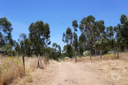 Terrenos a venda - Fotos para Terreno de 71 Hectares com Ruína e Viabilidade para Turismo